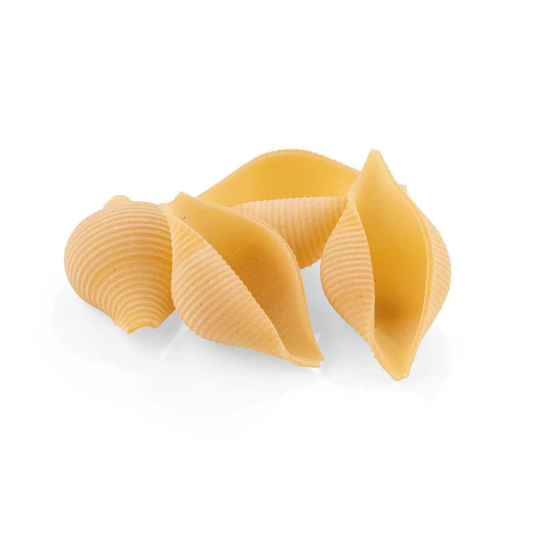 Pastacio Shell Shells Pasta La Fabbrica della Pasta 500g | Large Conchiglioni Pasta S ...