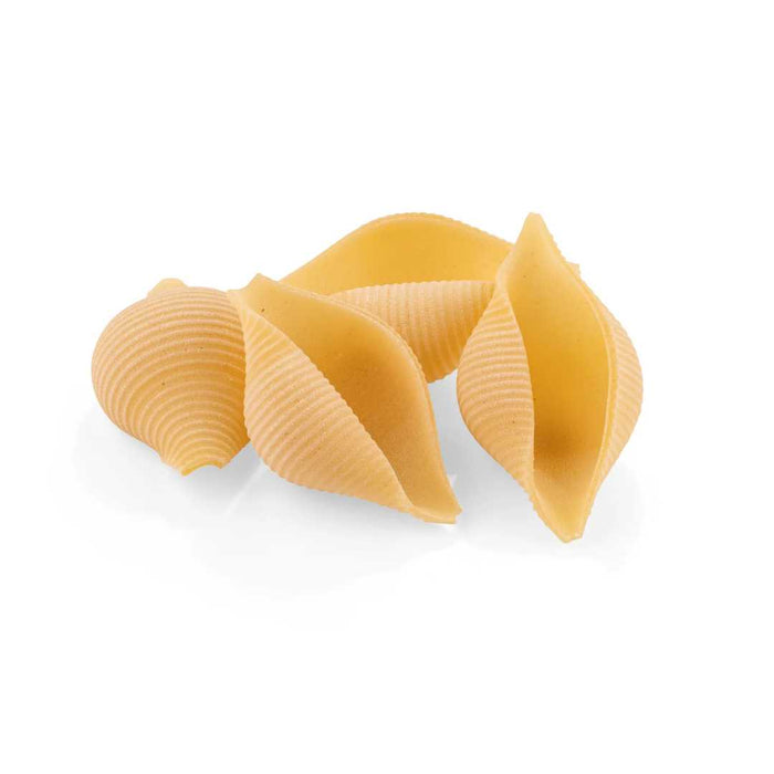 Piata Shells Shells Pasta La Fabbrica della Pasta 500g | Large Conchiglioni Pasta S ...