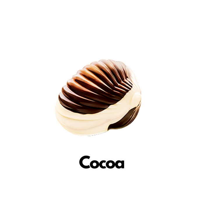 Seashell chocolate Cocoa Flavour