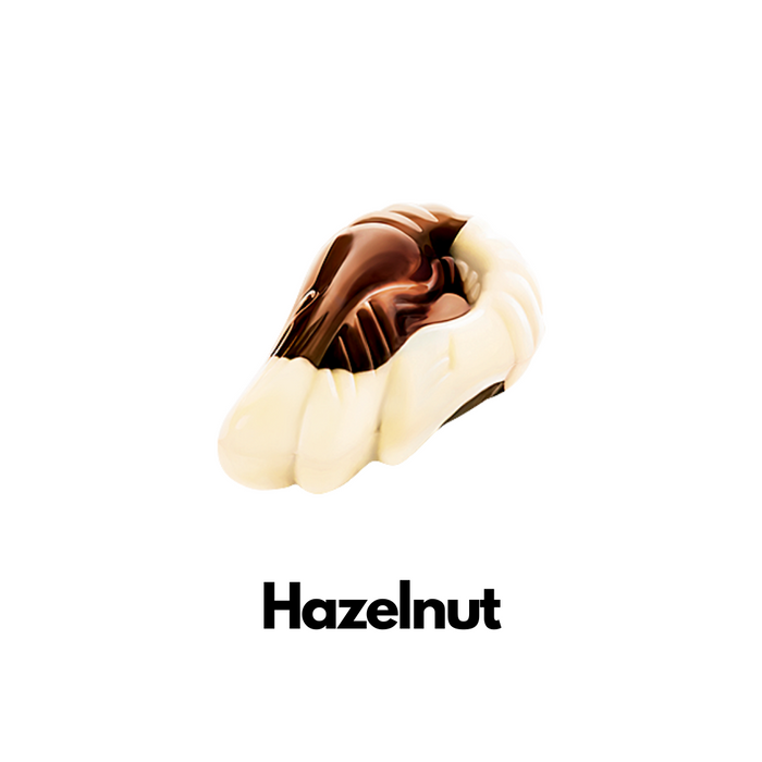 Seashell chocolate Hazelnut
